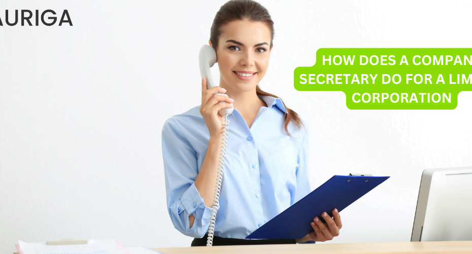 HOW DOES A COMPANY SECRETARY DO FOR A LIMITED CORPORATION?