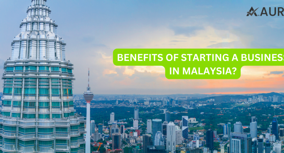 Benefits of starting a business in Malaysia?