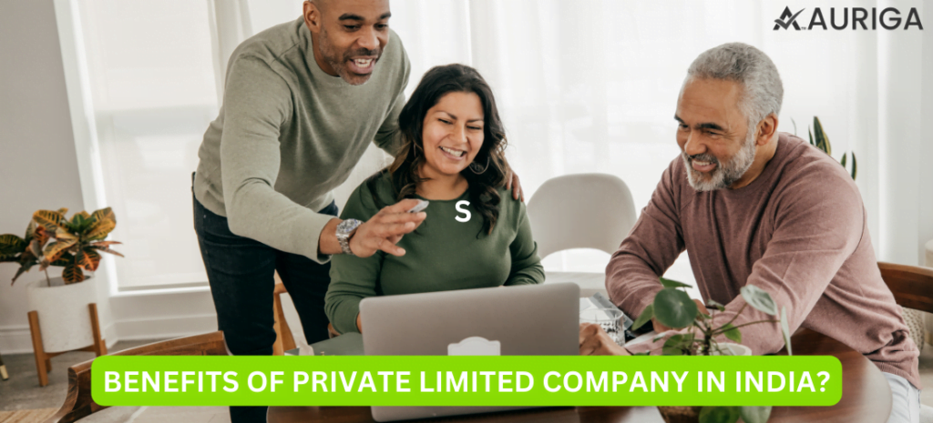 BENEFITS OF PRIVATE LIMITED IN INDIA? 1 AURIGA ACCOUNTING PRIVATE LIMITED BENEFITS OF PRIVATE LIMITED IN INDIA?