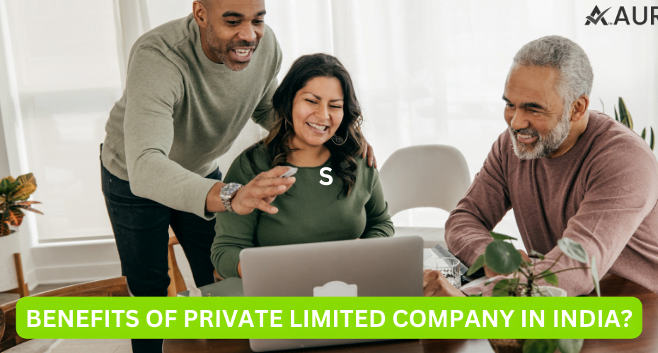 BENEFITS OF PRIVATE LIMITED IN INDIA?