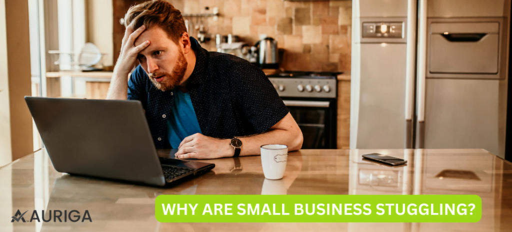 WHY ARE SMALL BUSINESS STRUGGLING? 1 AURIGA ACCOUNTING PRIVATE LIMITED WHY ARE SMALL BUSINESS STRUGGLING?