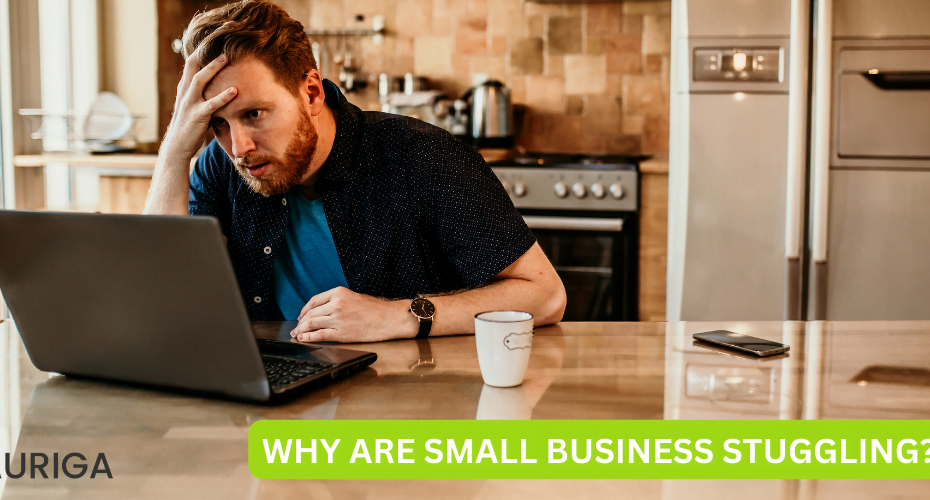 WHY ARE SMALL BUSINESS STRUGGLING?