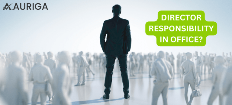 DIRECTOR RESPONSIBILITY IN COMPANY?