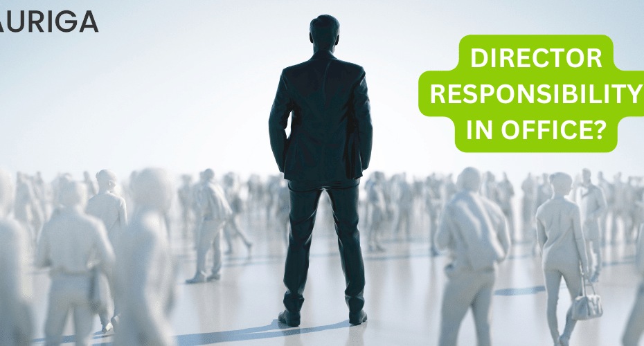 DIRECTOR RESPONSIBILITY IN COMPANY?