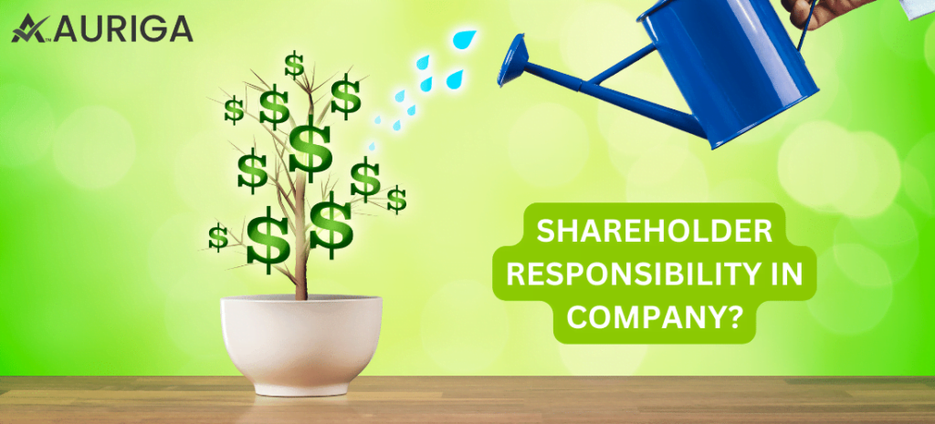 SHAREHOLDER RESPONSIBILITES IN COMPANY? 1 AURIGA ACCOUNTING PRIVATE LIMITED SHAREHOLDER RESPONSIBILITES IN COMPANY?