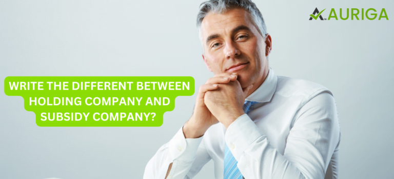 WRITE THE DIFFERENT BETWEEN HOLDING COMPANY AND SUBSIDY COMPANY?
