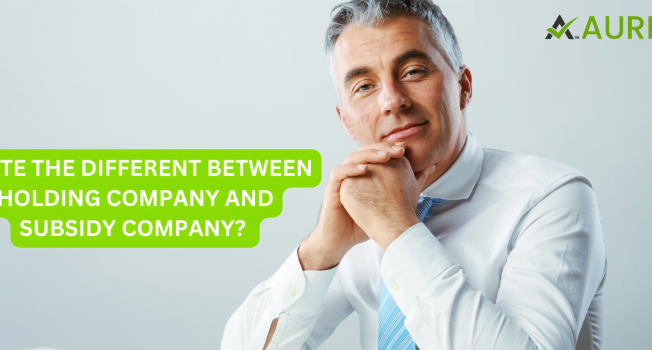 WRITE THE DIFFERENT BETWEEN HOLDING COMPANY AND SUBSIDY COMPANY?