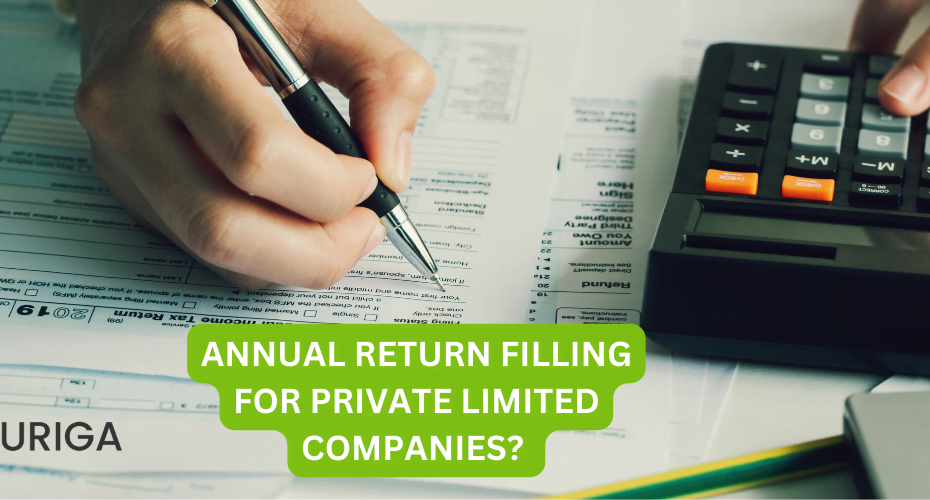 ANNUAL RETURN FILLING FOR PRIVATE LIMITED COMPANIES?