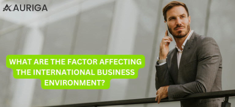 WHAT ARE THE FACTOR AFFECTING INTERNATIONAL BUSINESS ENVIRONMENT?