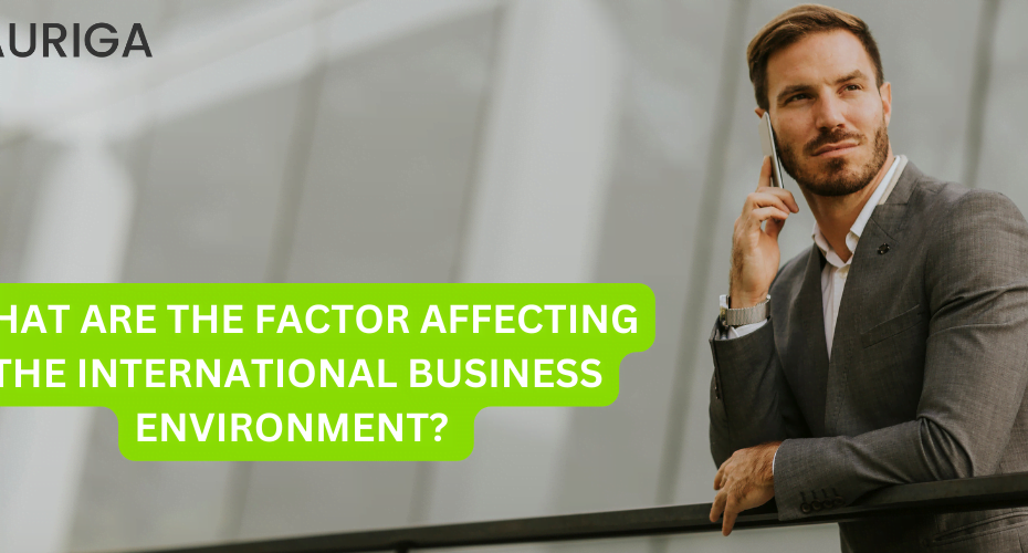 WHAT ARE THE FACTOR AFFECTING INTERNATIONAL BUSINESS ENVIRONMENT?