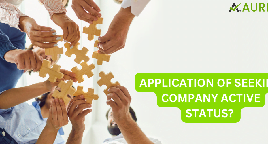 APPLICATION OF SEEKING COMPANY ACTIVE STATUS?