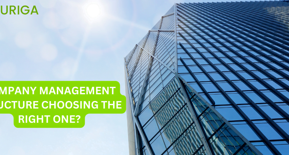 COMPANY MANAGEMENT STRUCTURE CHOOSING THE RIGHT ONE?