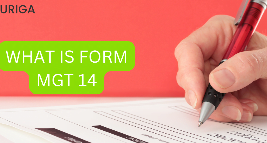 WHAT IS FORM MGT 14?