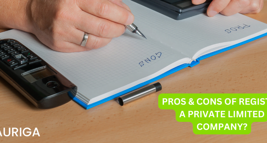 PROS AND CONS OF REGISTER A PRIVATE LIMITED COMPANY?