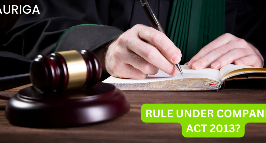 RULE OF UNDER COMPANIES ACT 2013?