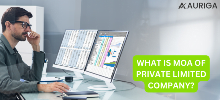 WHAT IS MOA OF PRIVATE LIMITED COMPANY?