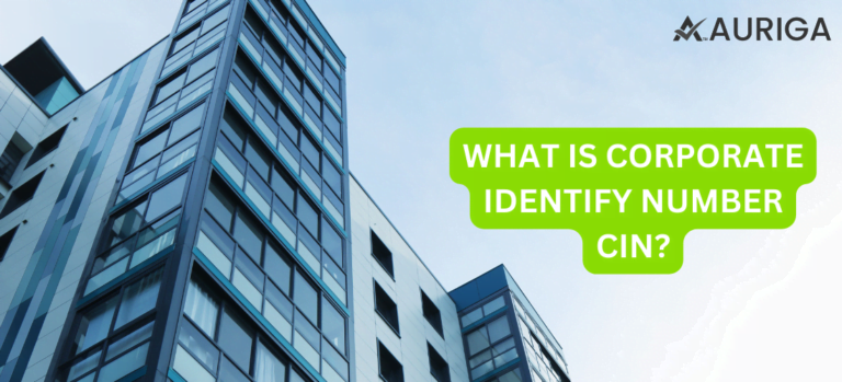 WHAT IS CORPORATE IDENTIFY NUMBER CIN?
