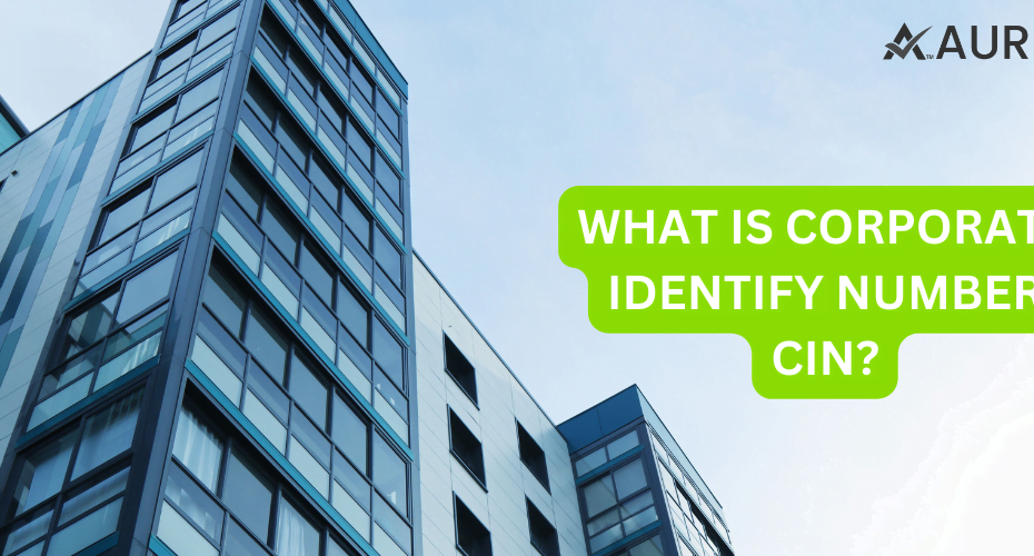 WHAT IS CORPORATE IDENTIFY NUMBER CIN?