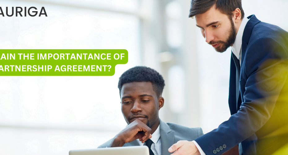 EXPLAIN THE IMPORTANTANCE OF PARTNERSHIP AGREEMENT?