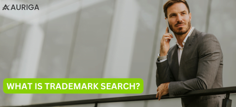 WHAT IS THE TRADEMARK SEARCH?