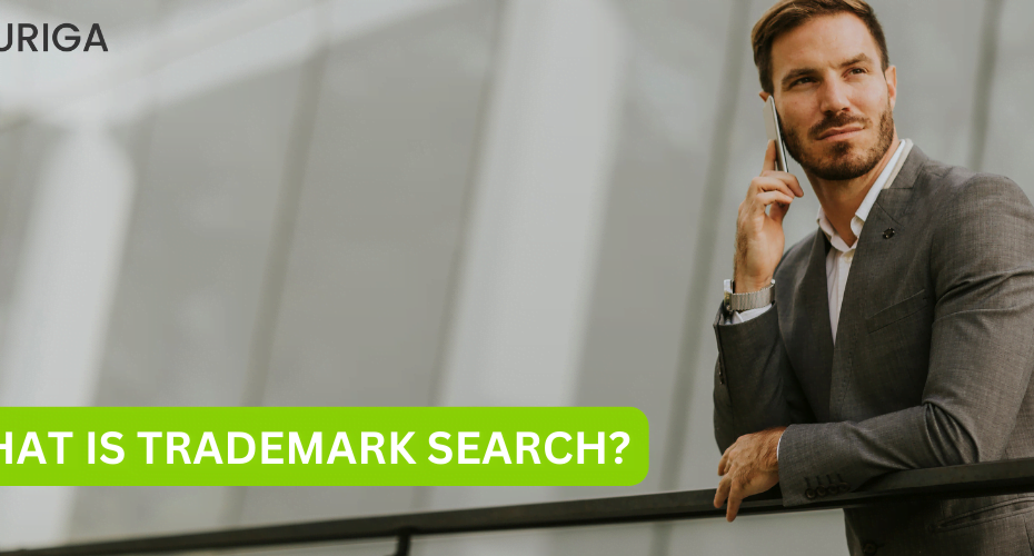 WHAT IS THE TRADEMARK SEARCH?