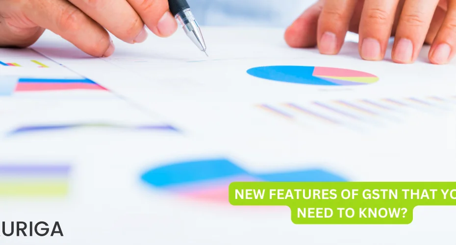 NEW FEATURES OF GSTN THAT YOU NEED TO KNOW?