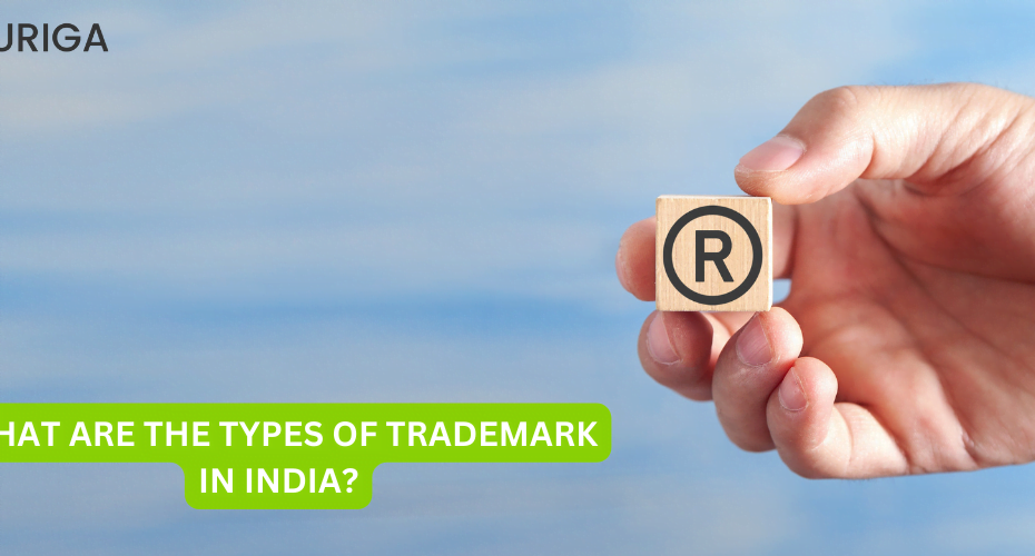 WHAT ARE THE TYPES OF TRADEMARK IN INDIA? 5 AURIGA ACCOUNTING PRIVATE LIMITED UNDER THE ACT TRADEMARK 1999 WHO BENEFITS FROM A TRADEMARK IN BUSINESS IN INDIA?