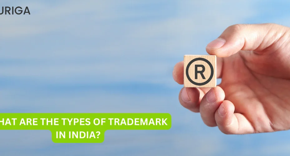 WHAT ARE THE TYPES OF TRADEMARK IN INDIA? 17 AURIGA ACCOUNTING PRIVATE LIMITED UNDER THE ACT TRADEMARK 1999 WHO BENEFITS FROM A TRADEMARK IN BUSINESS IN INDIA?