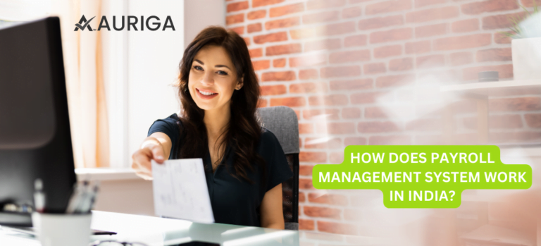 HOW DOES PAYROLL MANAGEMENT SYSTEM WORK IN INDIA?