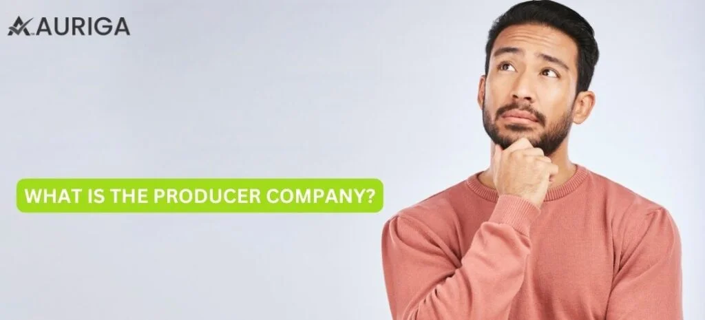 WHAT IS A PRODUCER COMPANY?
