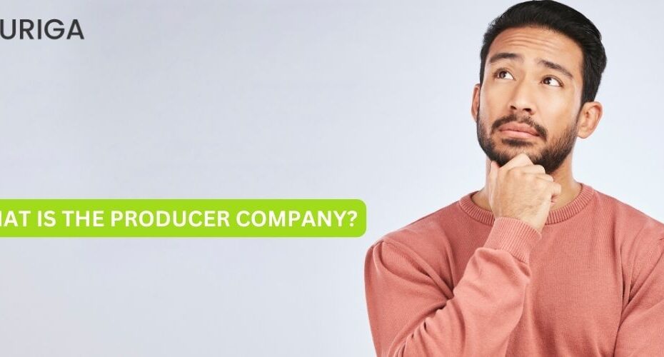 WHAT IS A PRODUCER COMPANY?