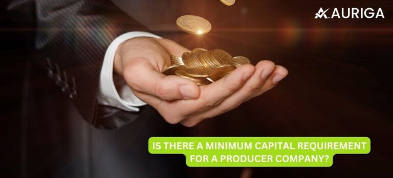 IS THERE A MINIMUM CAPITAL REQUIREMENT FOR A PRODUCER COMPANY?