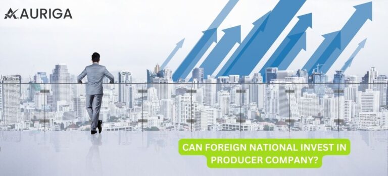 CAN FOREIGN NATIONAL INVEST PRODUCER COMPANY?