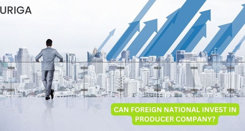 CAN FOREIGN NATIONAL INVEST PRODUCER COMPANY?