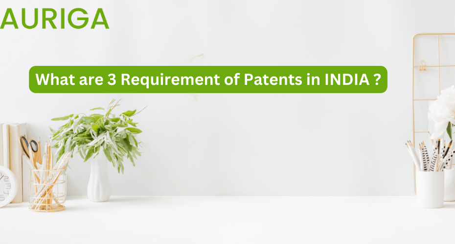 what are 3 requirement's of Patents in india ?