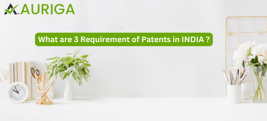 what are 3 requirement's of Patents in india ? 1 AURIGA ACCOUNTING PRIVATE LIMITED what are 3 requirement's of Patents in india ?