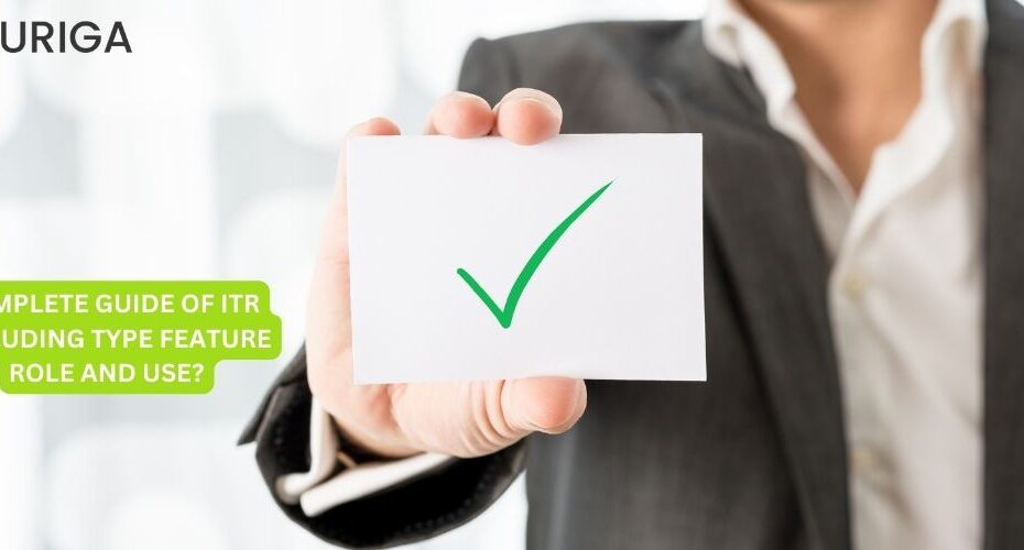 COMPLETE GUIDE OF ITR INCLUDING TYPE FEATURE ROLES AND USE?