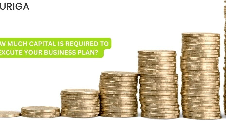 how much capital is required to Excute your business plan ?