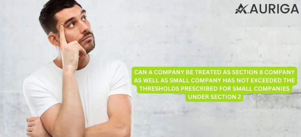 CAN A COMPANY BE TREATED AS SECTION 8 COMPANY AS WELL AS SMALL COMPANY HAS NOT EXCEEDED THE THRESHOLDS PRESCRIBED FOR SMALL COMPANIES UNDER SECTION 2?