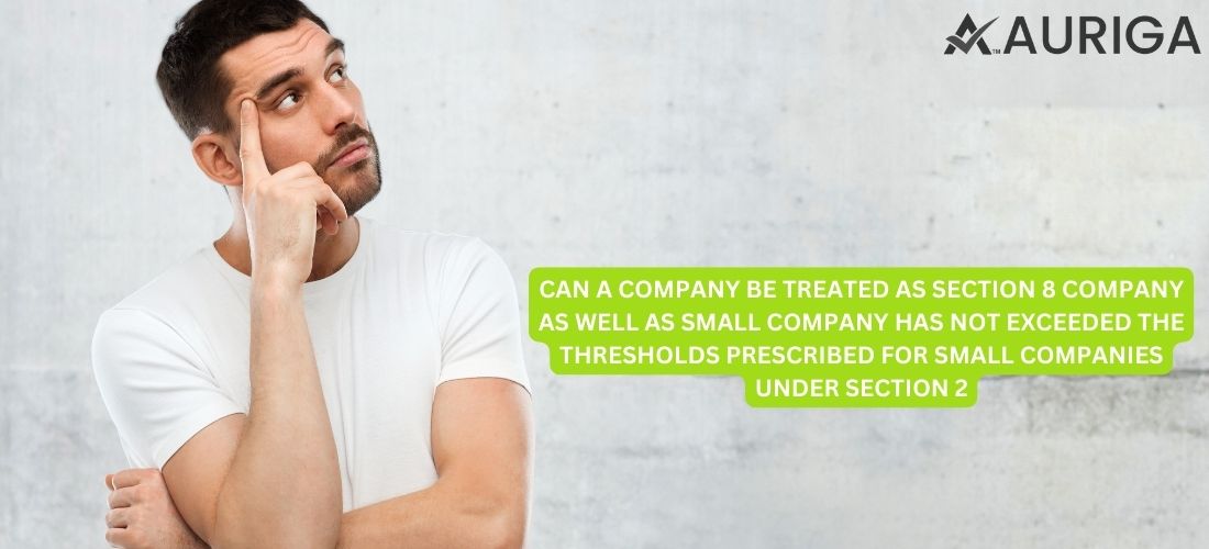 CAN A COMPANY BE TREATED AS SECTION 8 COMPANY AS WELL AS SMALL COMPANY