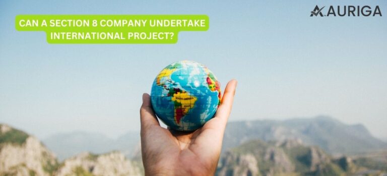 CAN A SECTION 8 COMPANY UNDER TAKE INTERNATIONAL PROJECT?