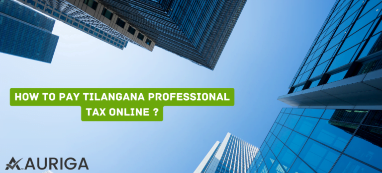 how to pay Telangana professional tax online ?