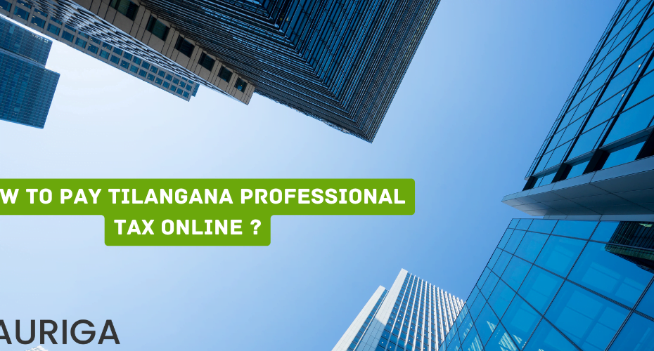 how to pay Telangana professional tax online ?