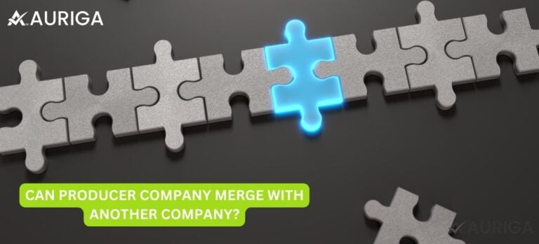 CAN PRODUCER COMPANY MERGE WITH ANOTHER COMPANY?