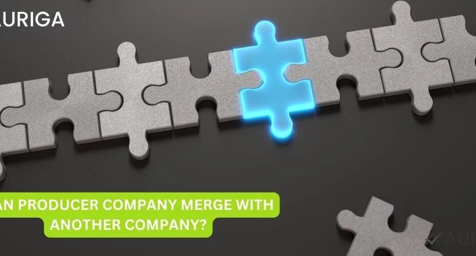 CAN PRODUCER COMPANY MERGE WITH ANOTHER COMPANY?