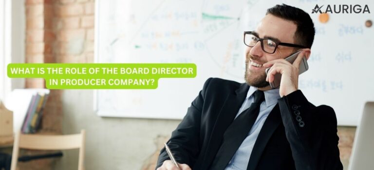 WHAT IS THE ROLE OF THE BOARD DIRECTOR IN PRODUCER COMPANY?