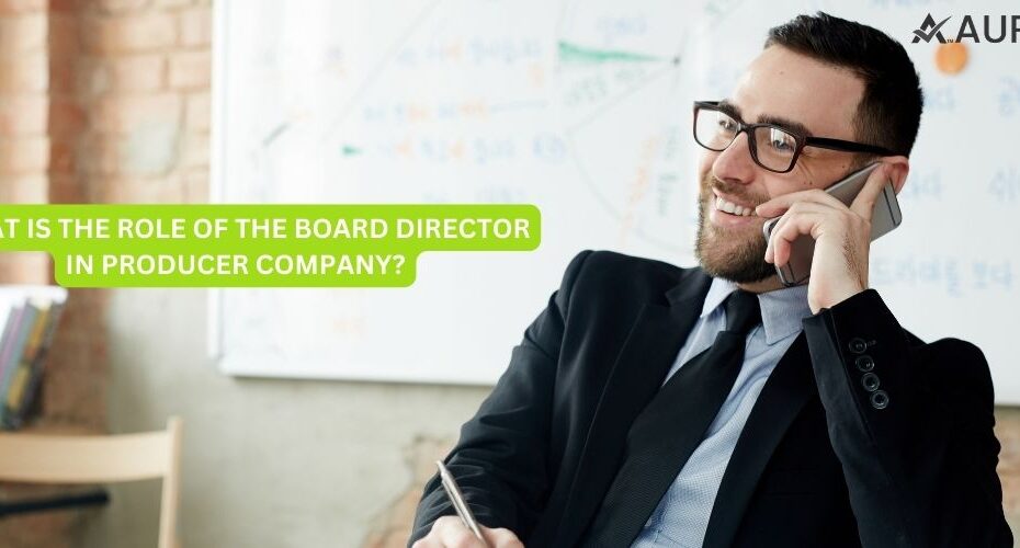 WHAT IS THE ROLE OF THE BOARD DIRECTOR IN PRODUCER COMPANY?