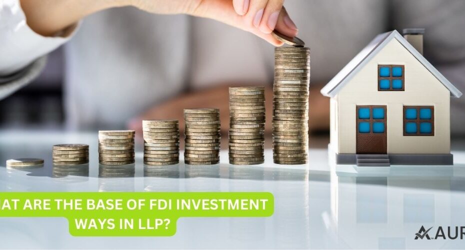 WHAT ARE THE BASE OF FDI INVESTMENTS WAYS IN LLP?