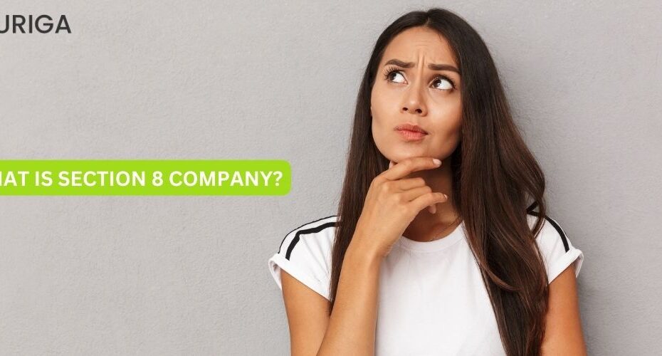 WHAT IS SECTION 8 COMPANY?