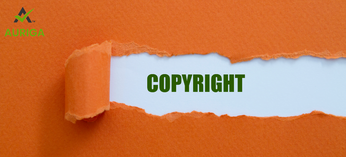 can computer software be copyrighted? 2 AURIGA ACCOUNTING PRIVATE LIMITED can computer software be copyrighted?